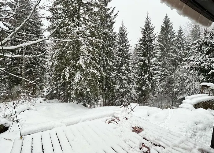 Σαλέ ~chalet_rifugio Tra I Boschi~ *